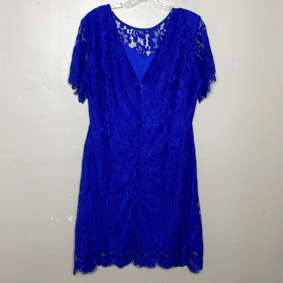 MSLG Sheath Blue Dress Lace Overlay Short Sleeves Croquette Scalloped Hem NWT Lg - Picture 2 of 11